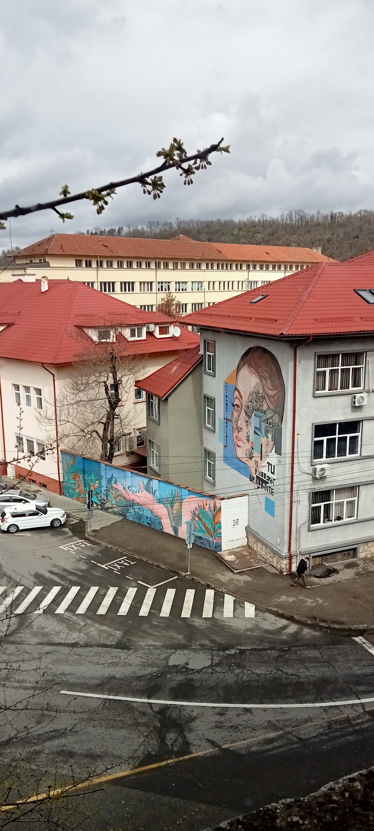 Eftimie Murgu University of Reșița photo 7