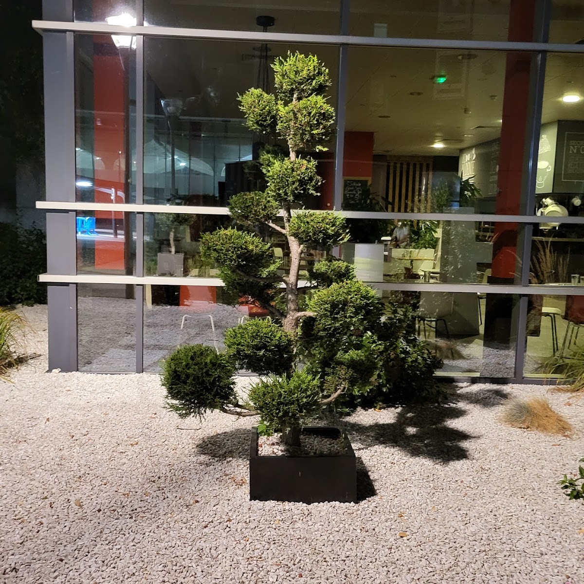 University of Angers photo 9