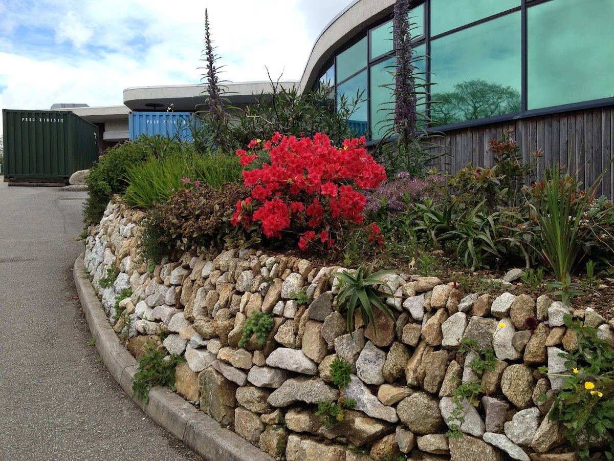 Falmouth University photo 7