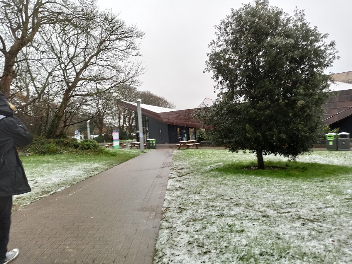 Falmouth University photo 9