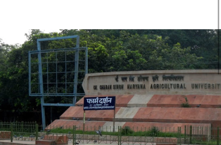 Chaudhary Charan Singh University photo 1