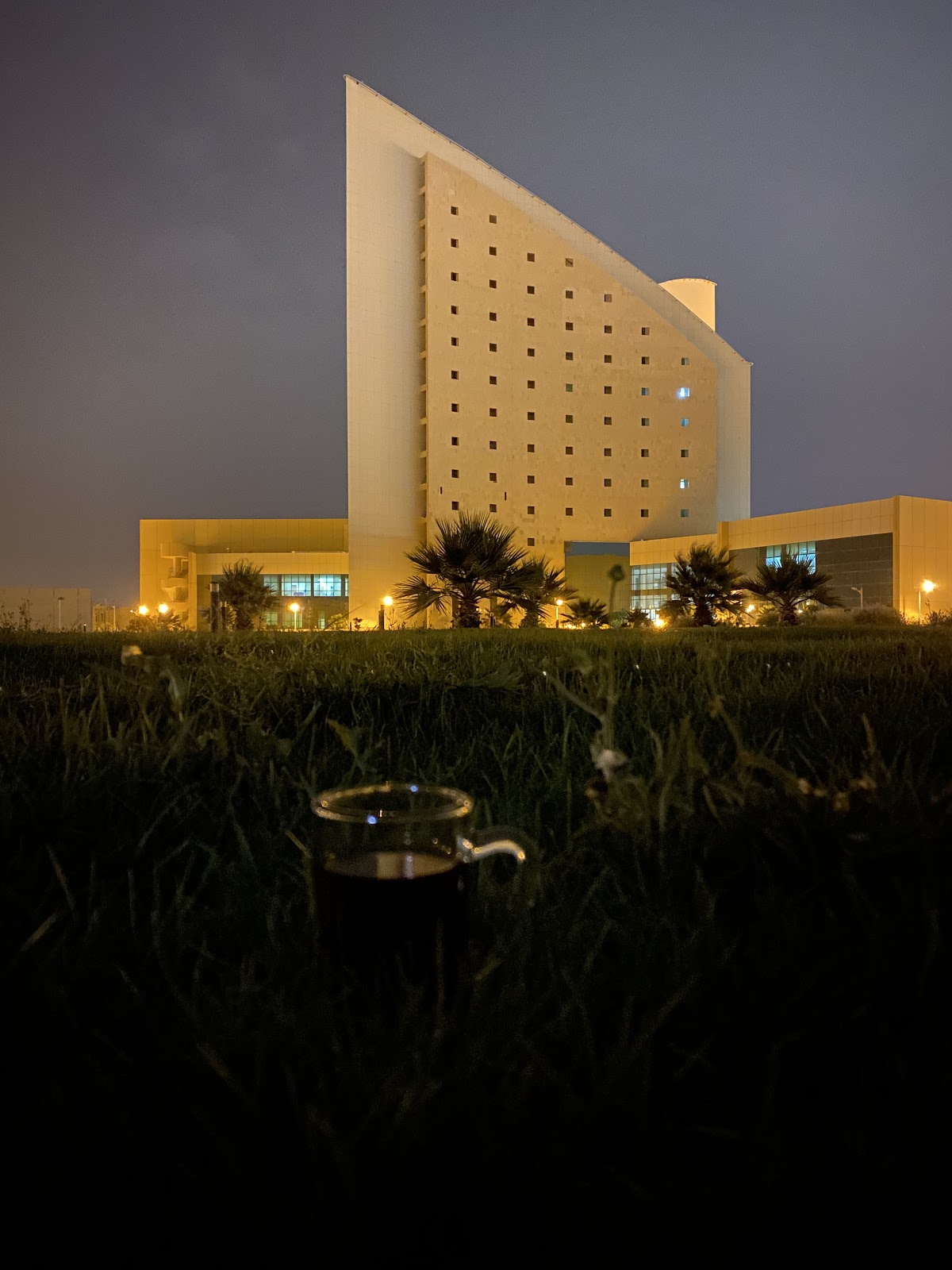 Najran University photo 9