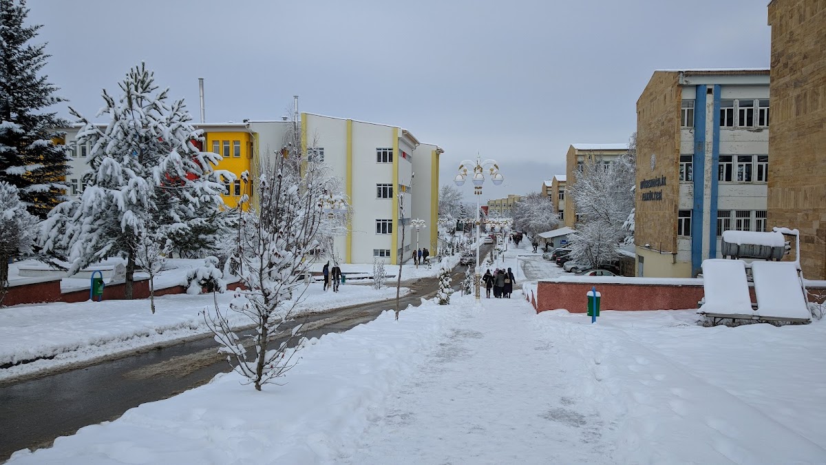 Cumhuriyet University photo 2