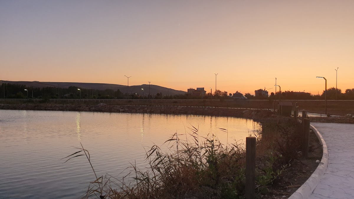 Cumhuriyet University photo 3