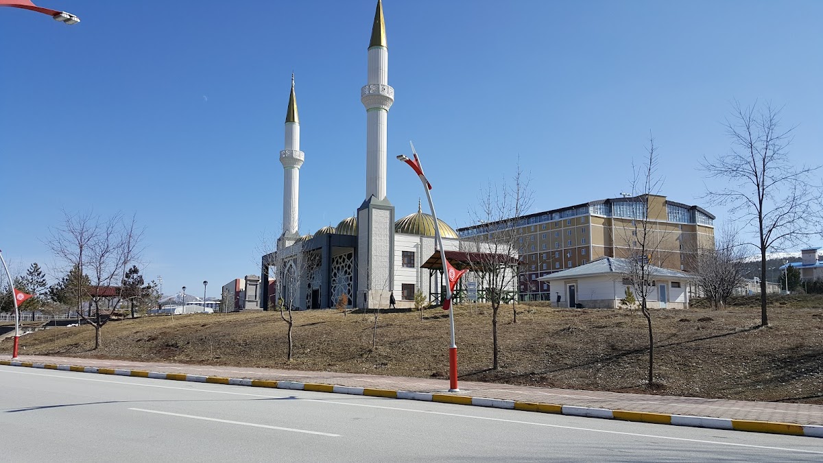 Cumhuriyet University photo 4