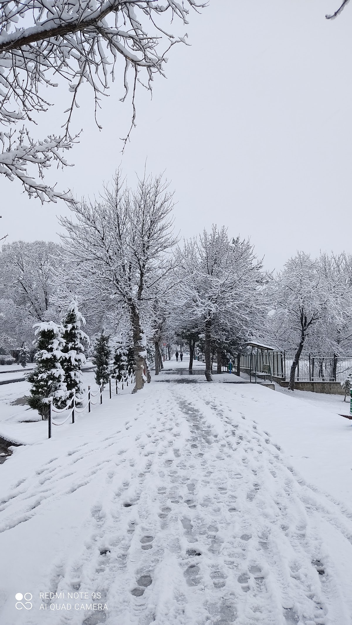 Cumhuriyet University photo 8