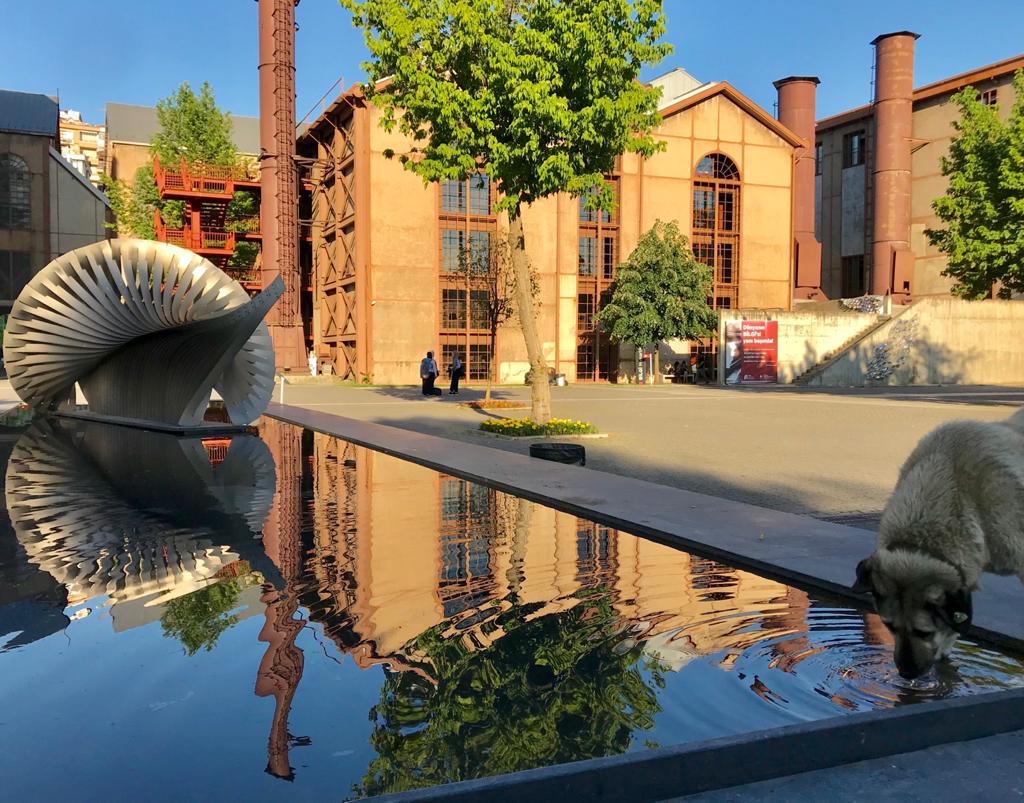 İstanbul Bilgi University photo 7