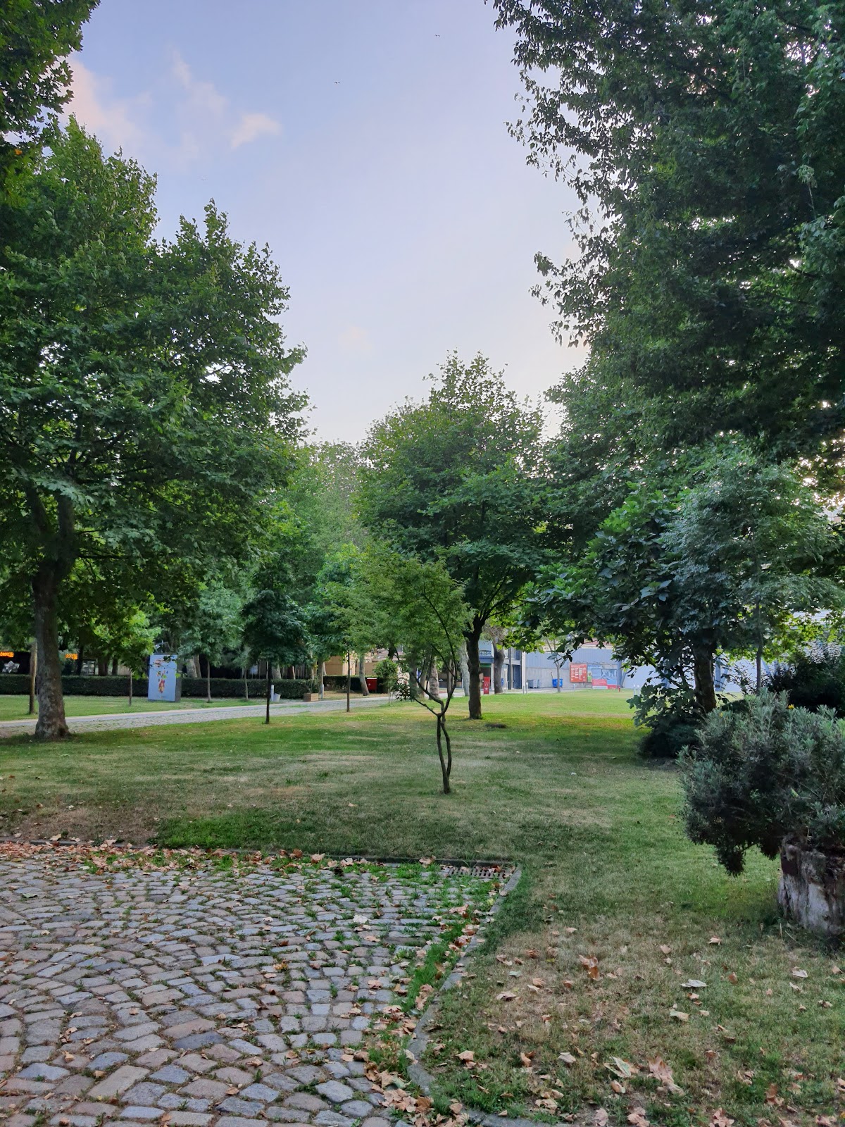 İstanbul Bilgi University photo 8