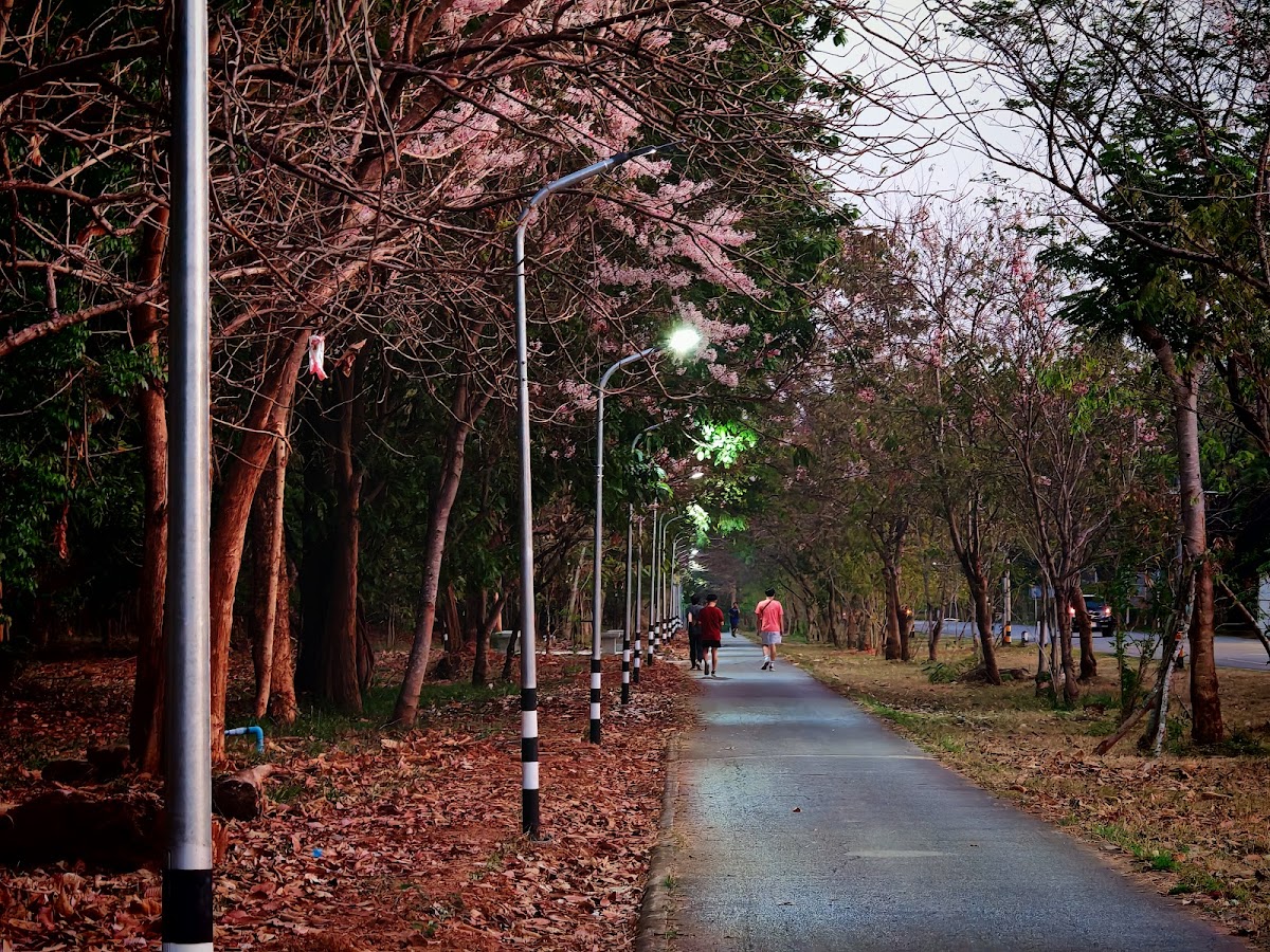 Khon Kaen University photo 2