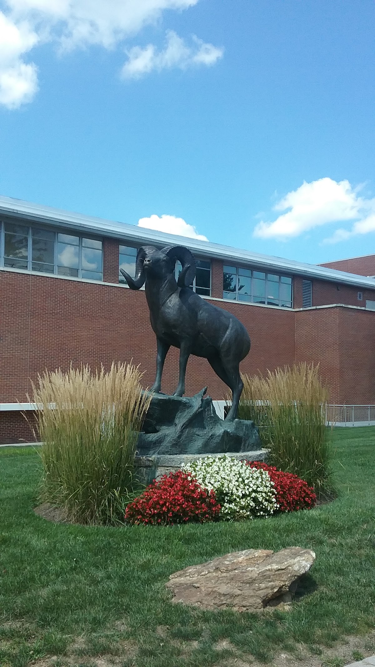 University of 3084 photo 8