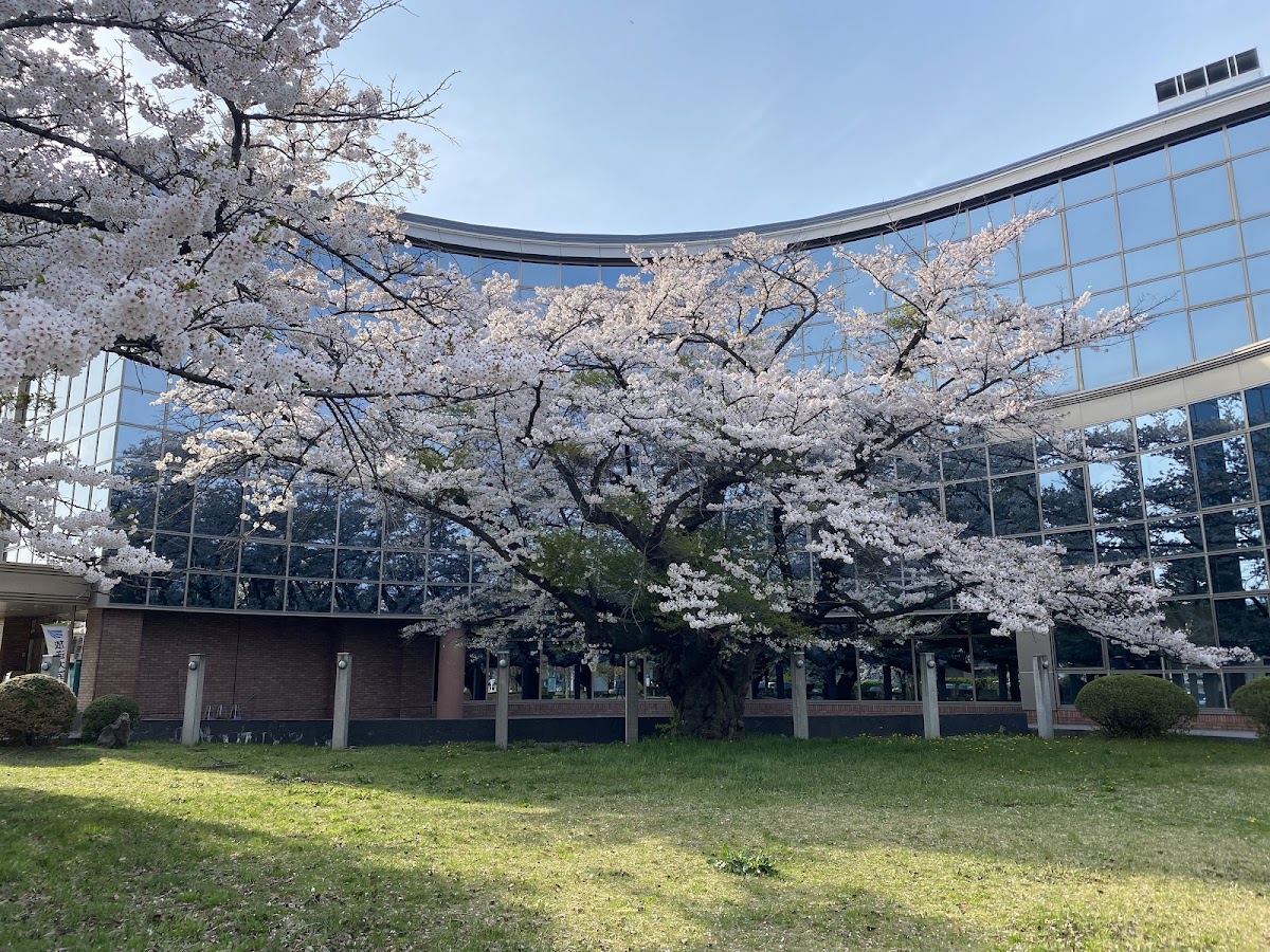 Iwate University photo 3