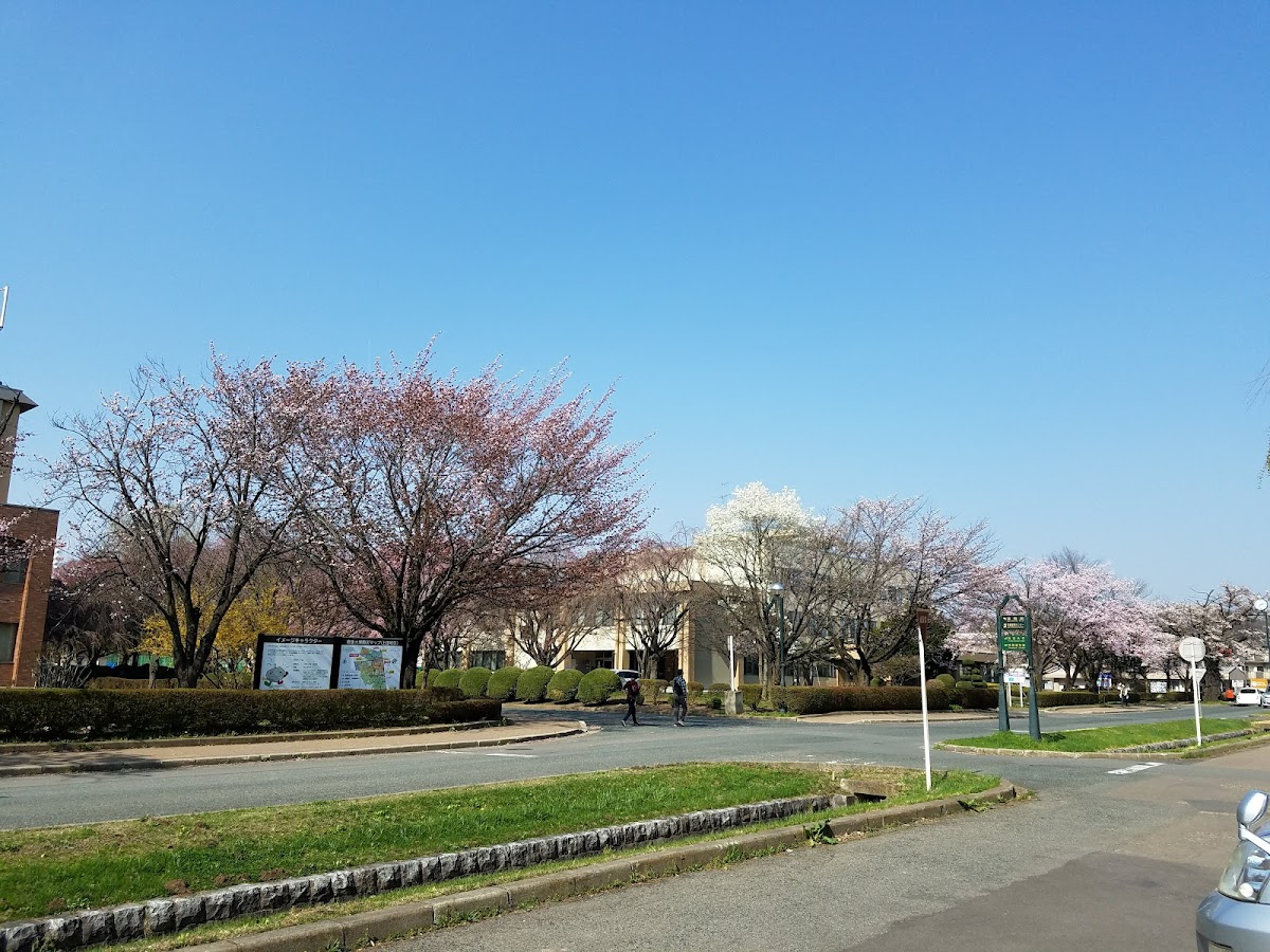Iwate University photo 5