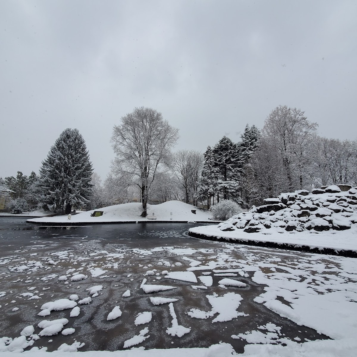 Iwate University photo 8