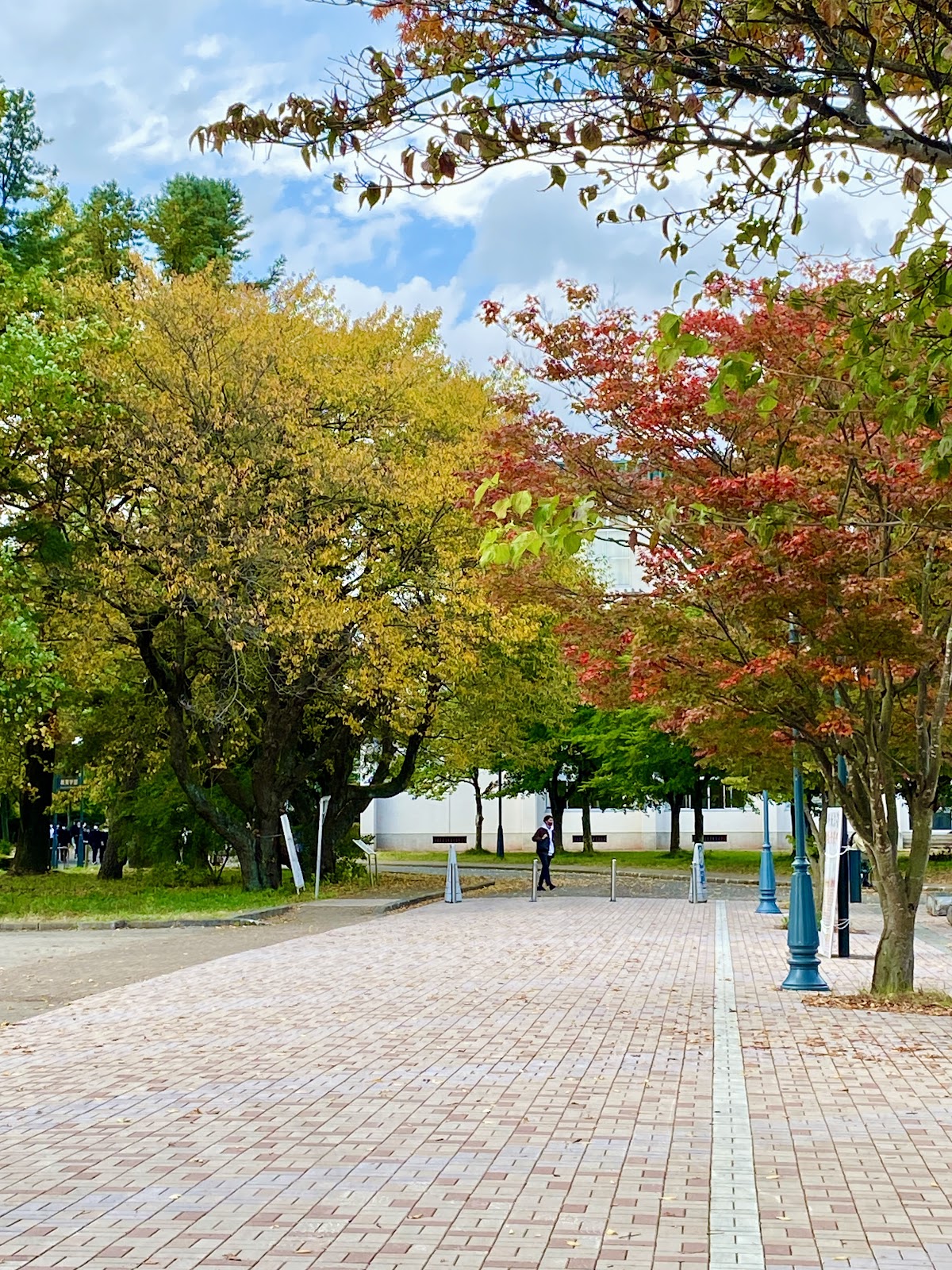 Iwate University photo 9