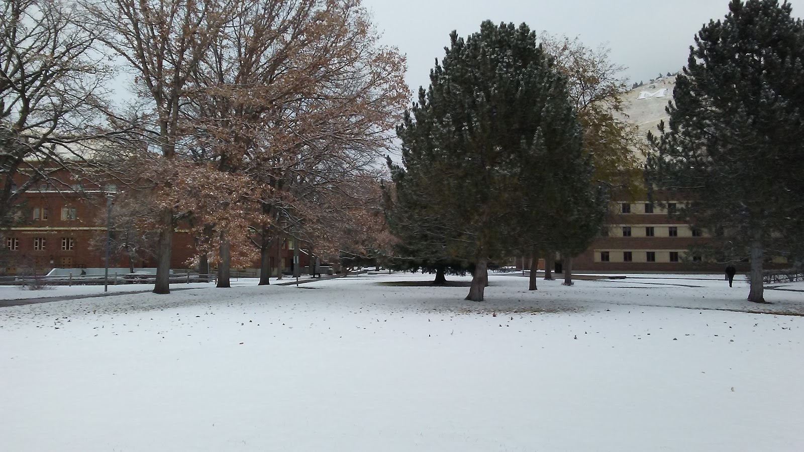 University of Montana