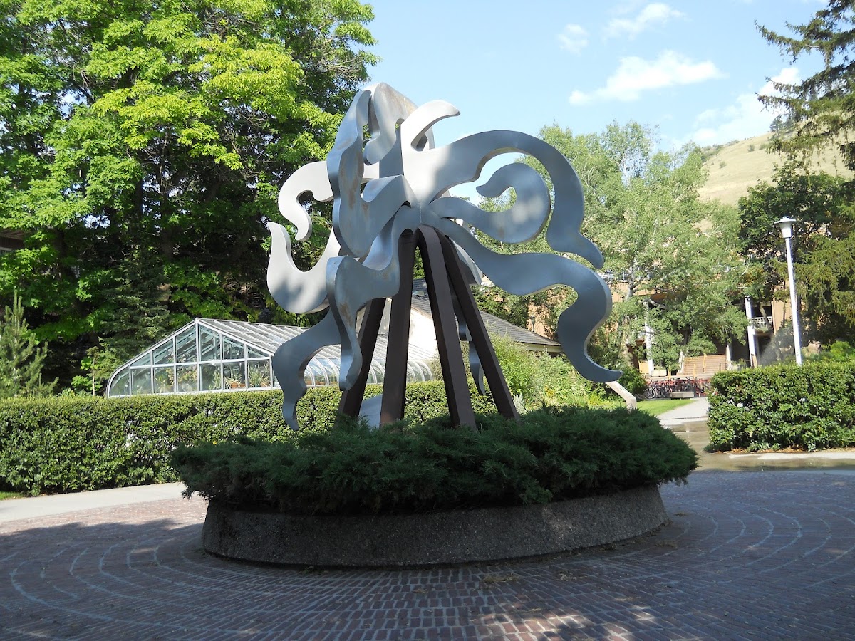 University of Montana photo 6