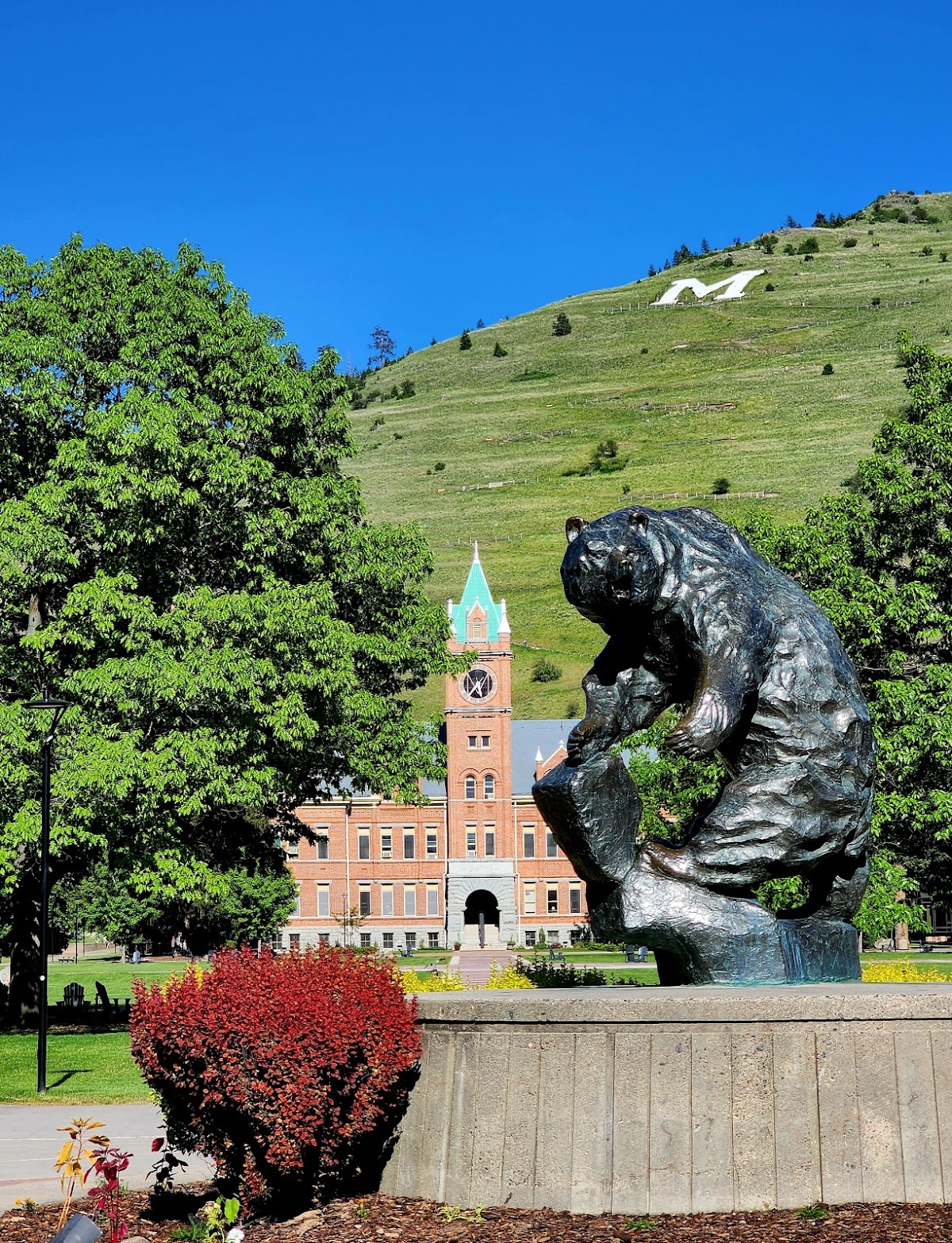 University of Montana photo 7
