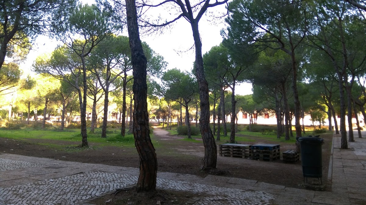 University of Algarve photo 2