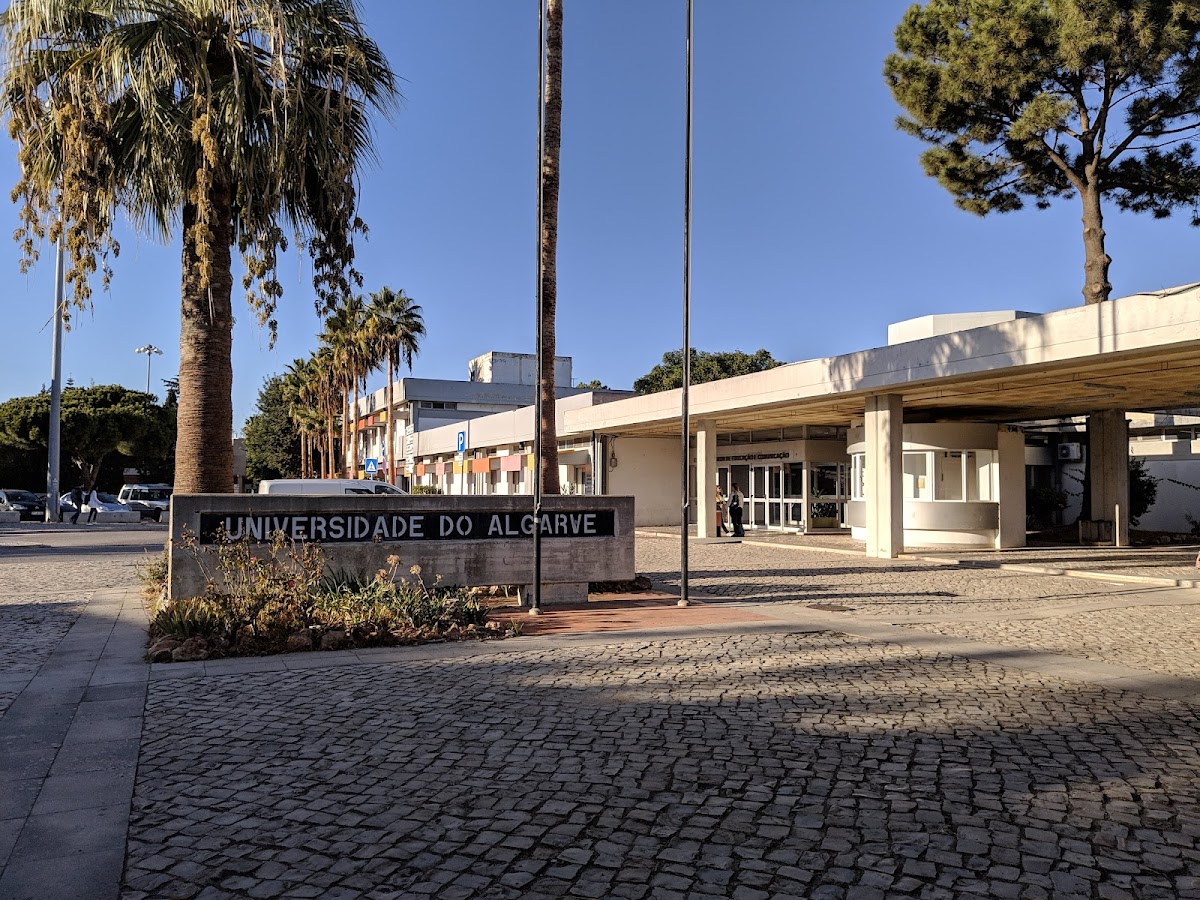 University of Algarve photo 3