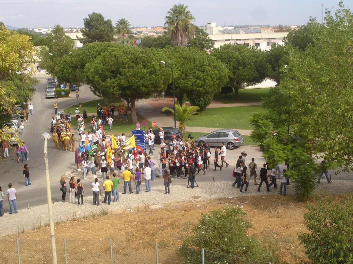 University of Algarve photo 6