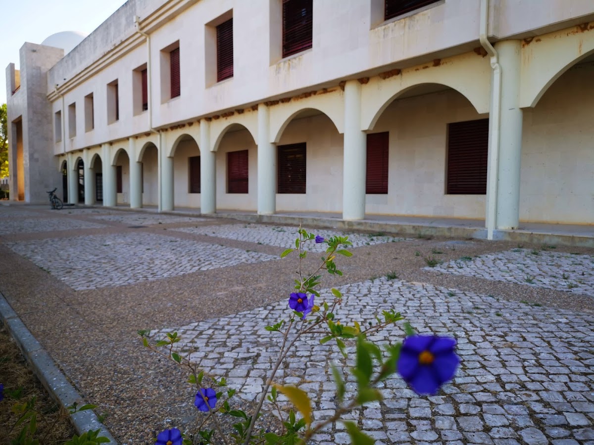 University of Algarve photo 7