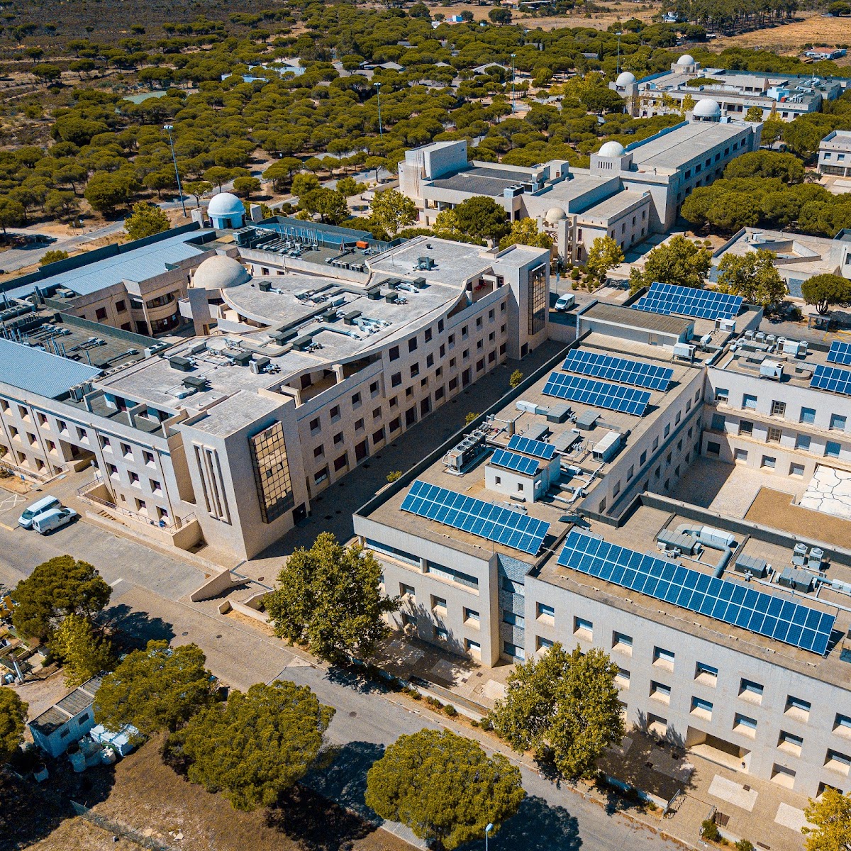 University of Algarve photo 8