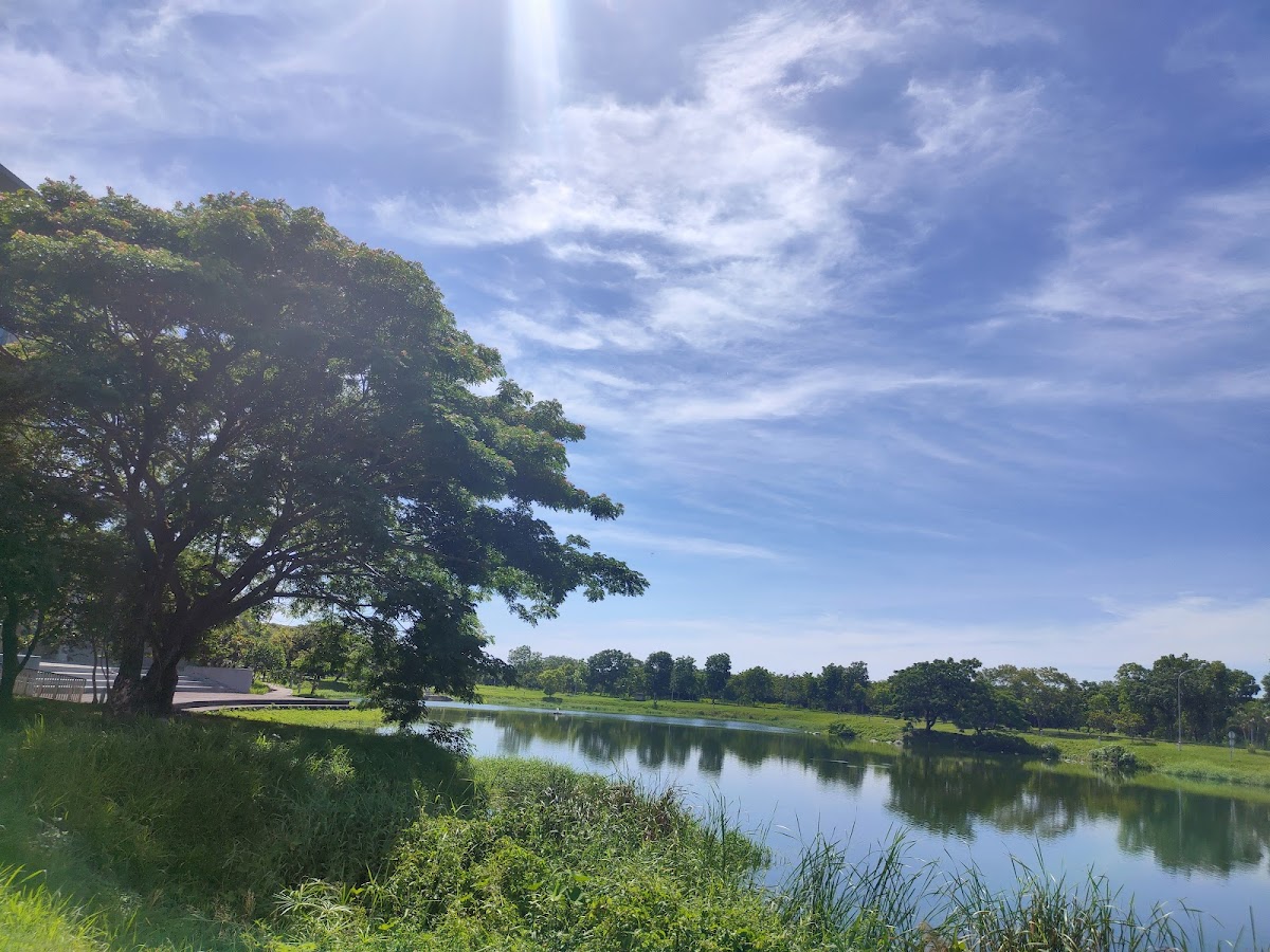 National Taitung University photo 9