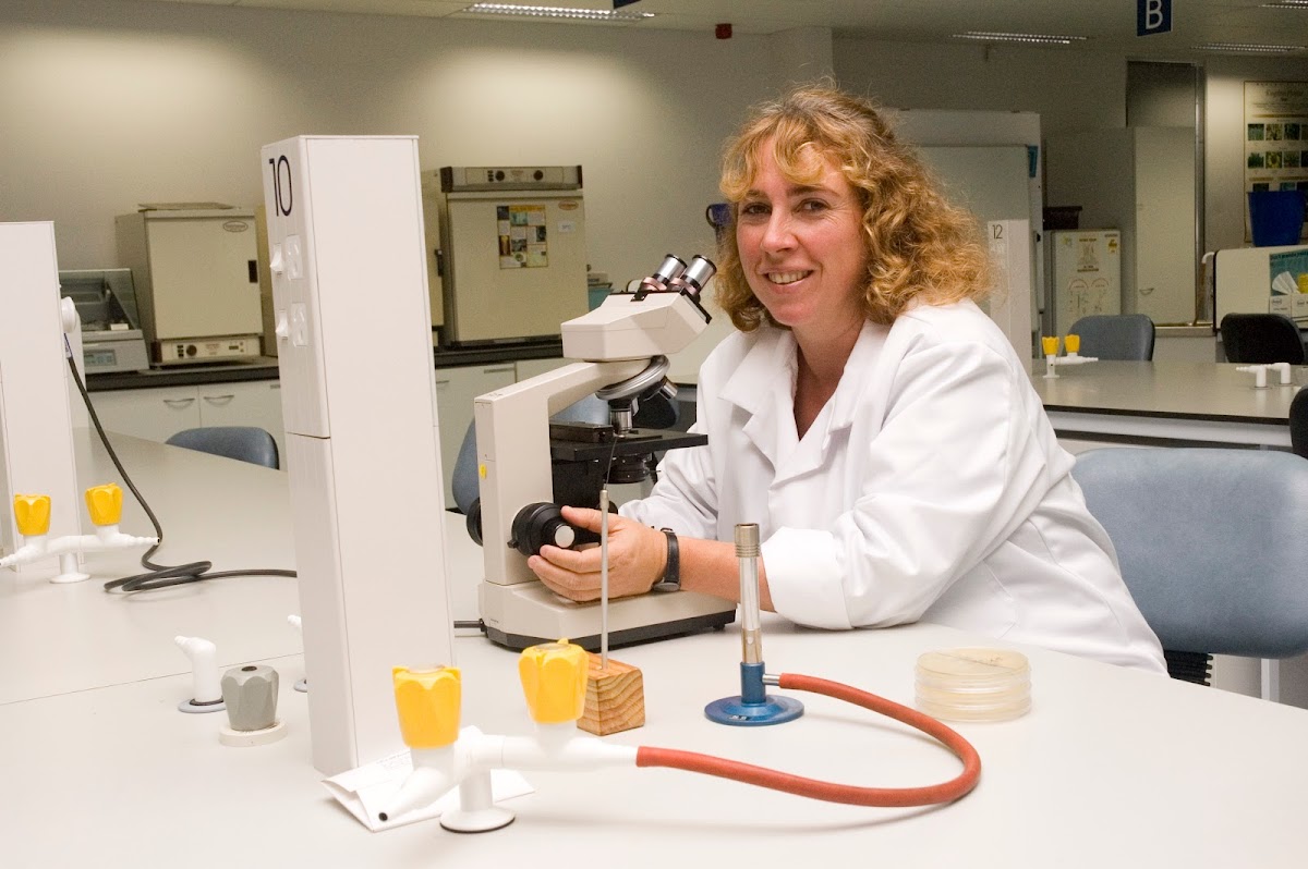 Eastern Institute of Technology (EIT) photo 3