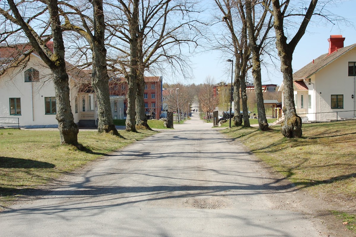 Linnaeus University photo 2