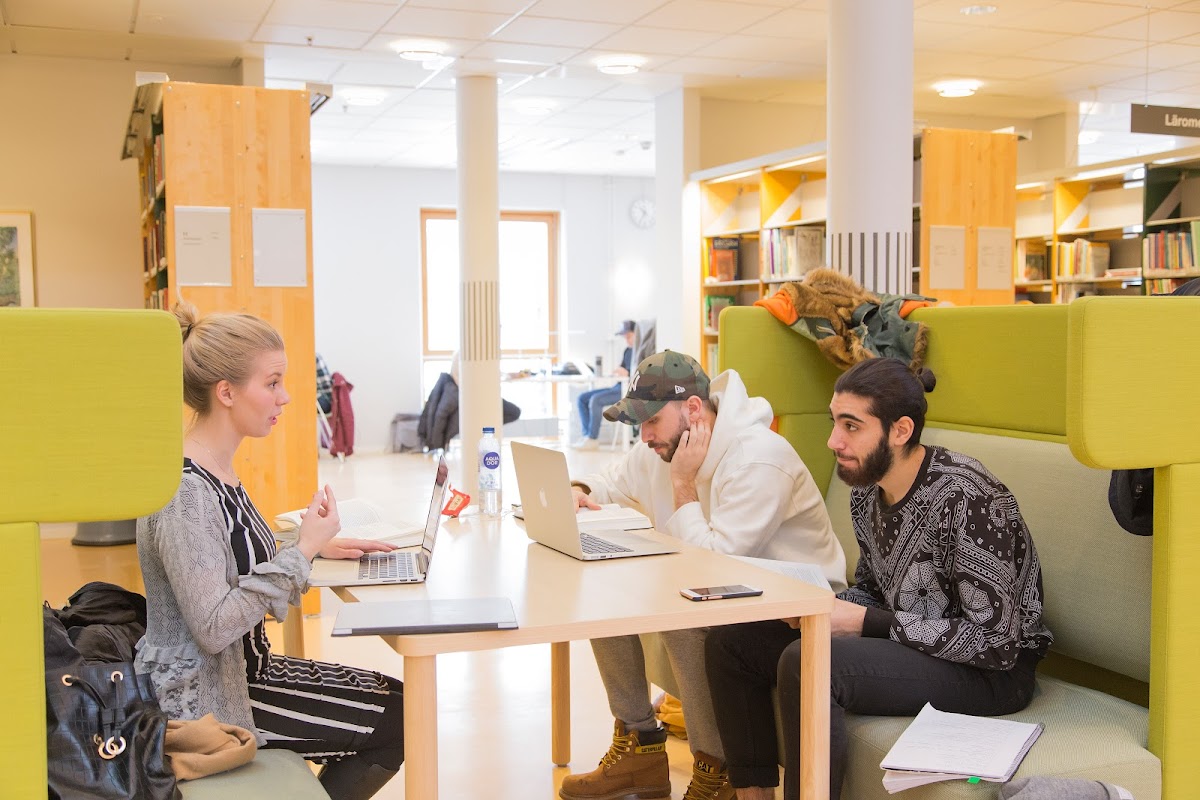 Linnaeus University photo 5