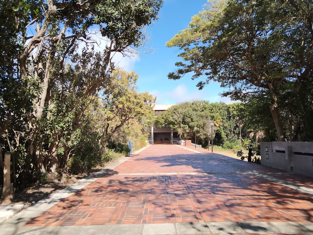 Nelson Mandela University photo 4