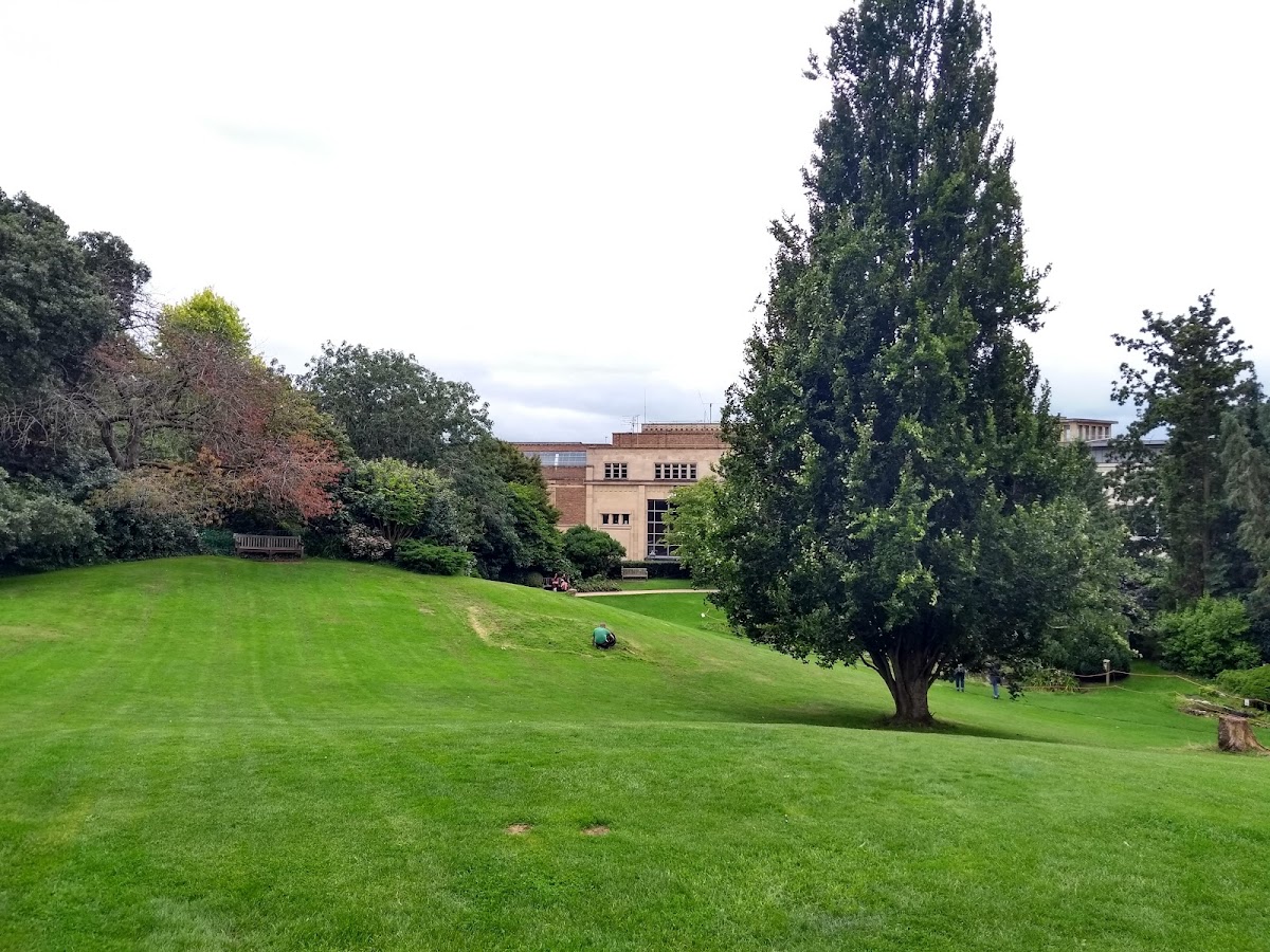 University of Bristol photo 2