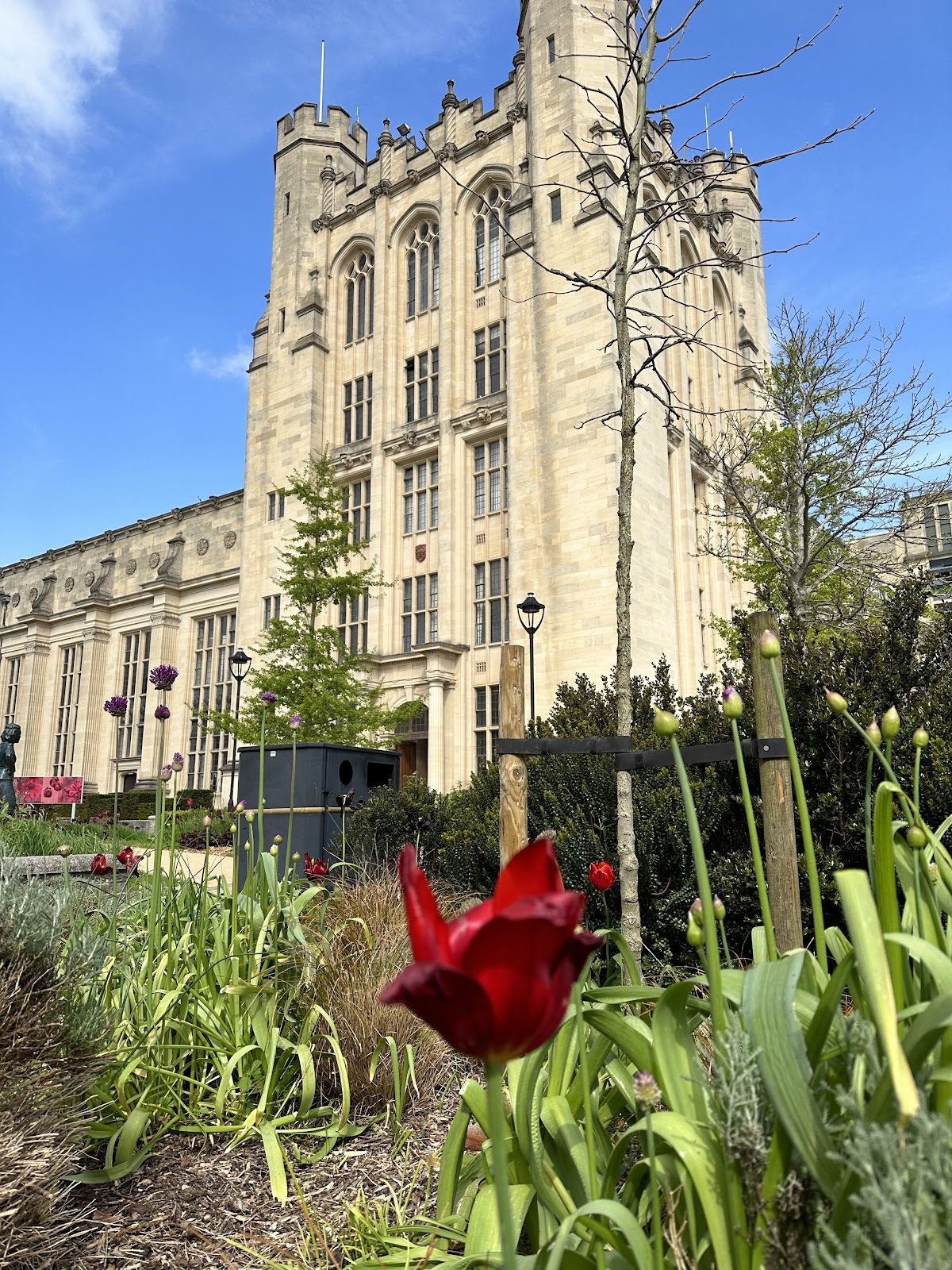 University of Bristol photo 8