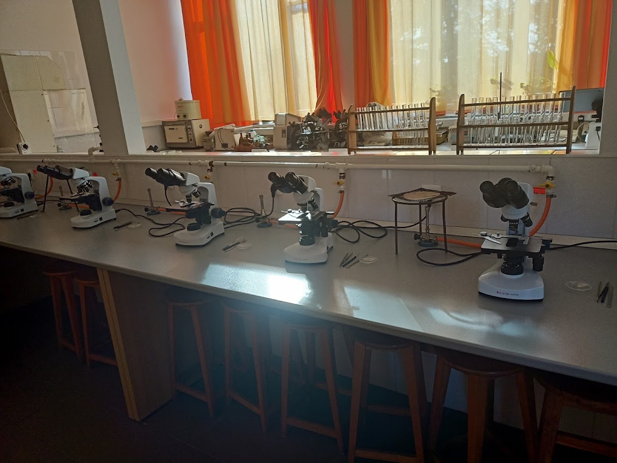 University of North Baia Mare photo 2