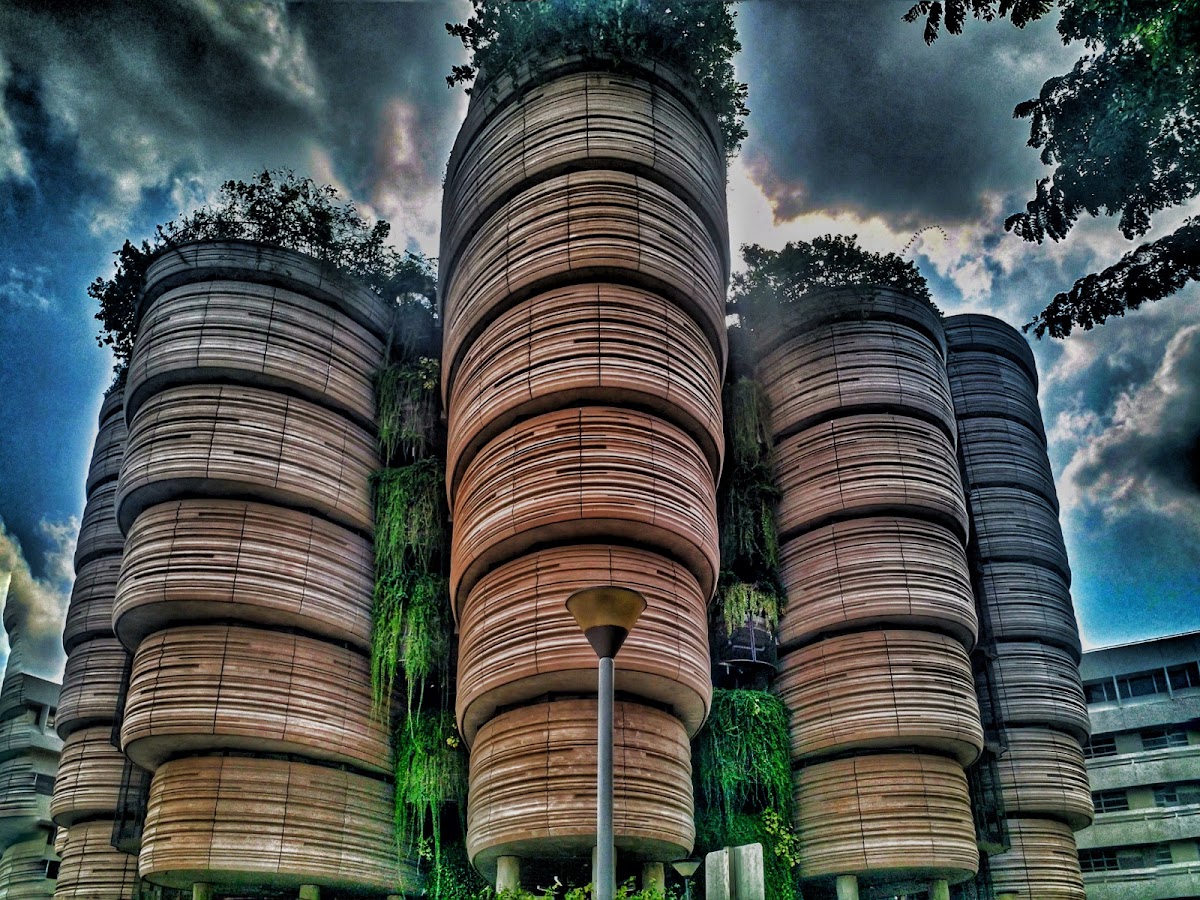 Nanyang Technological University (NTU) photo 5