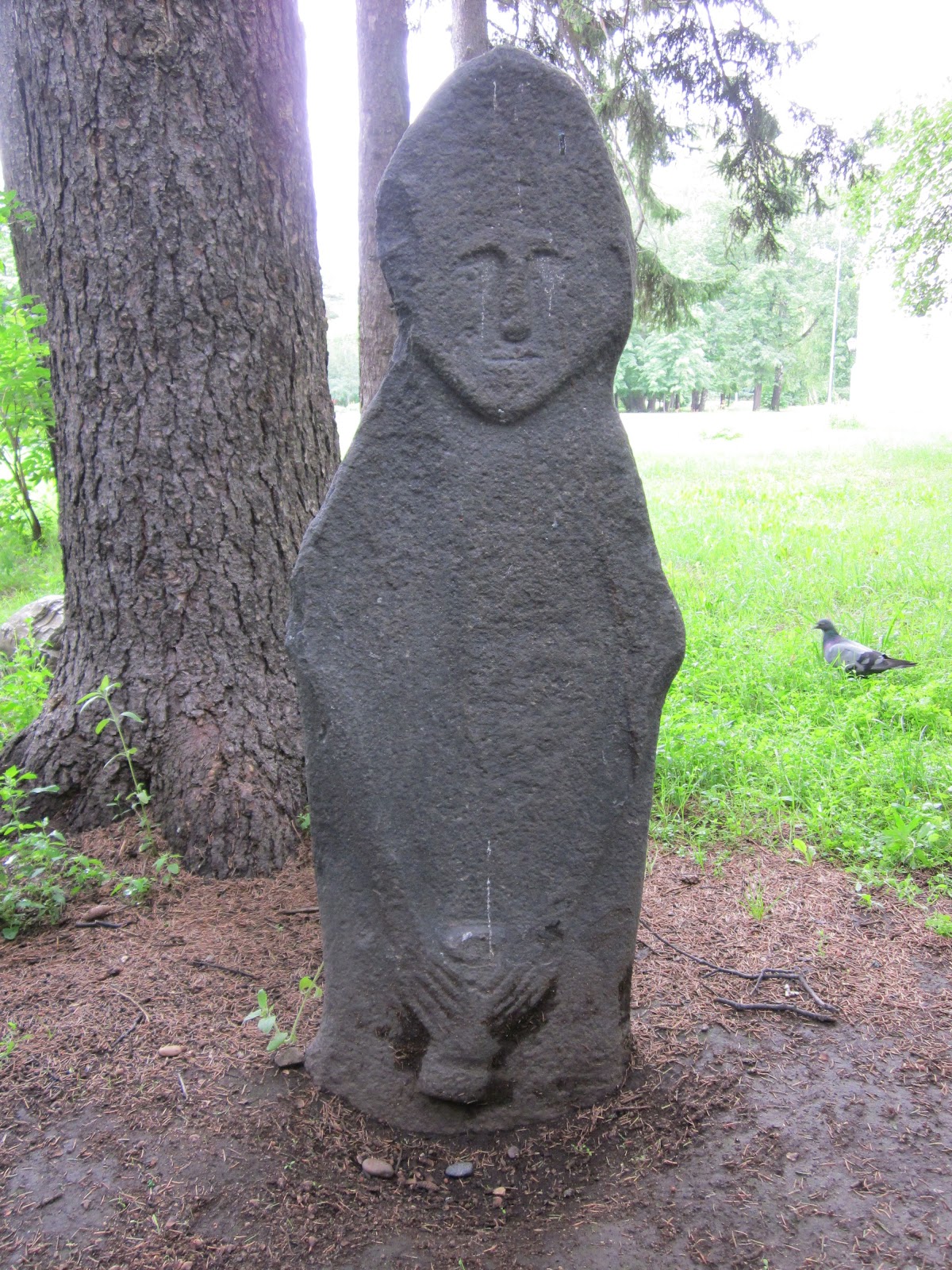 Tomsk State University photo 8