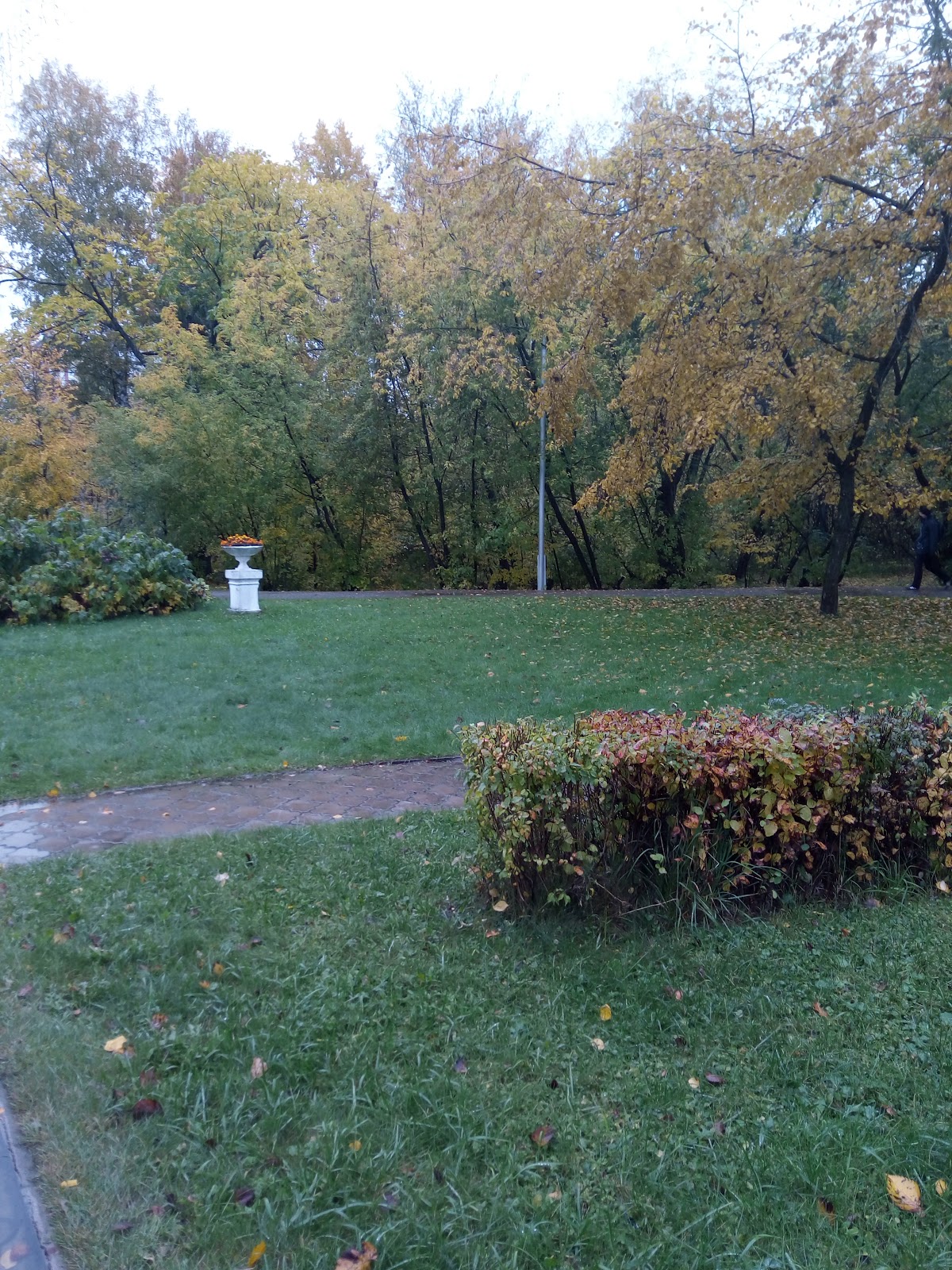 Tomsk State University photo 9