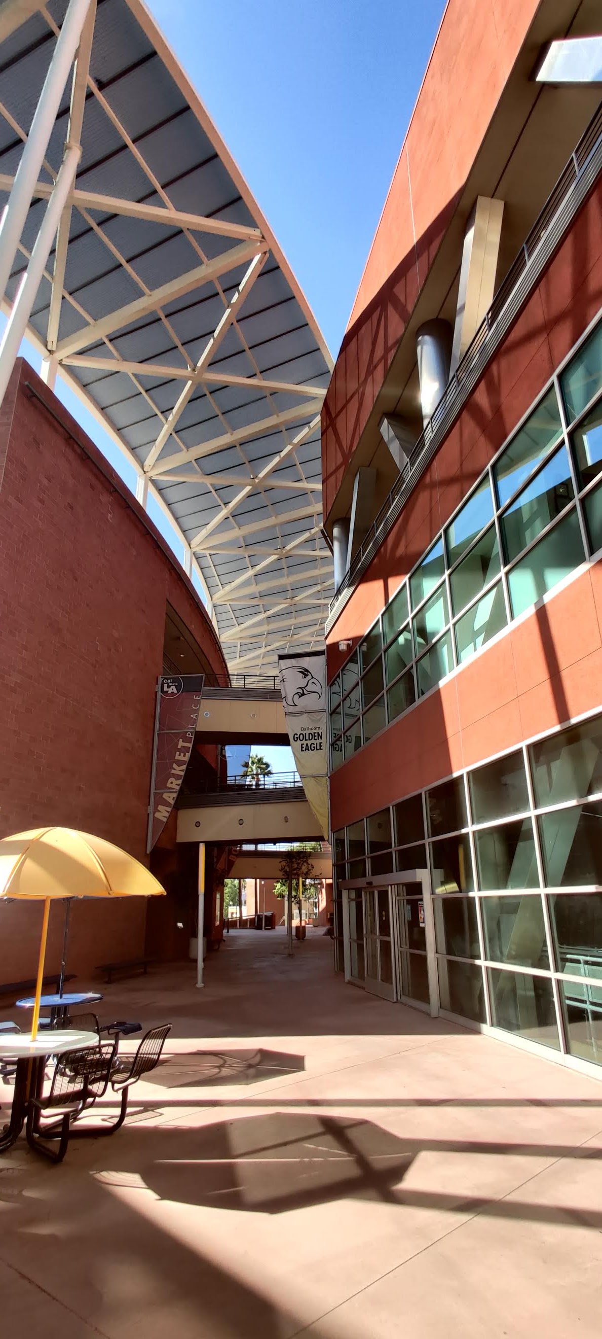 State University 2534 photo 9