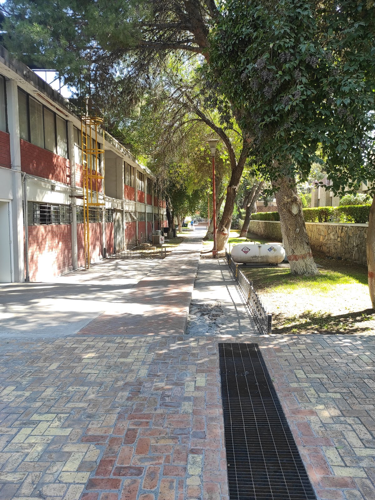 Technological Institute of Saltillo photo 7