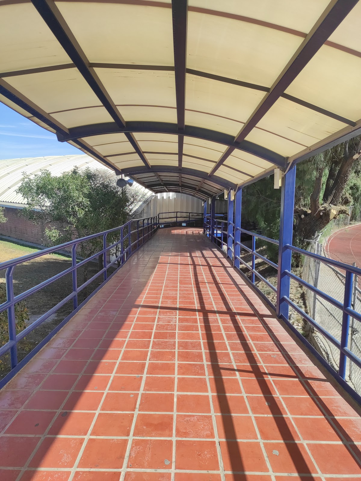 Technological Institute of Saltillo photo 8