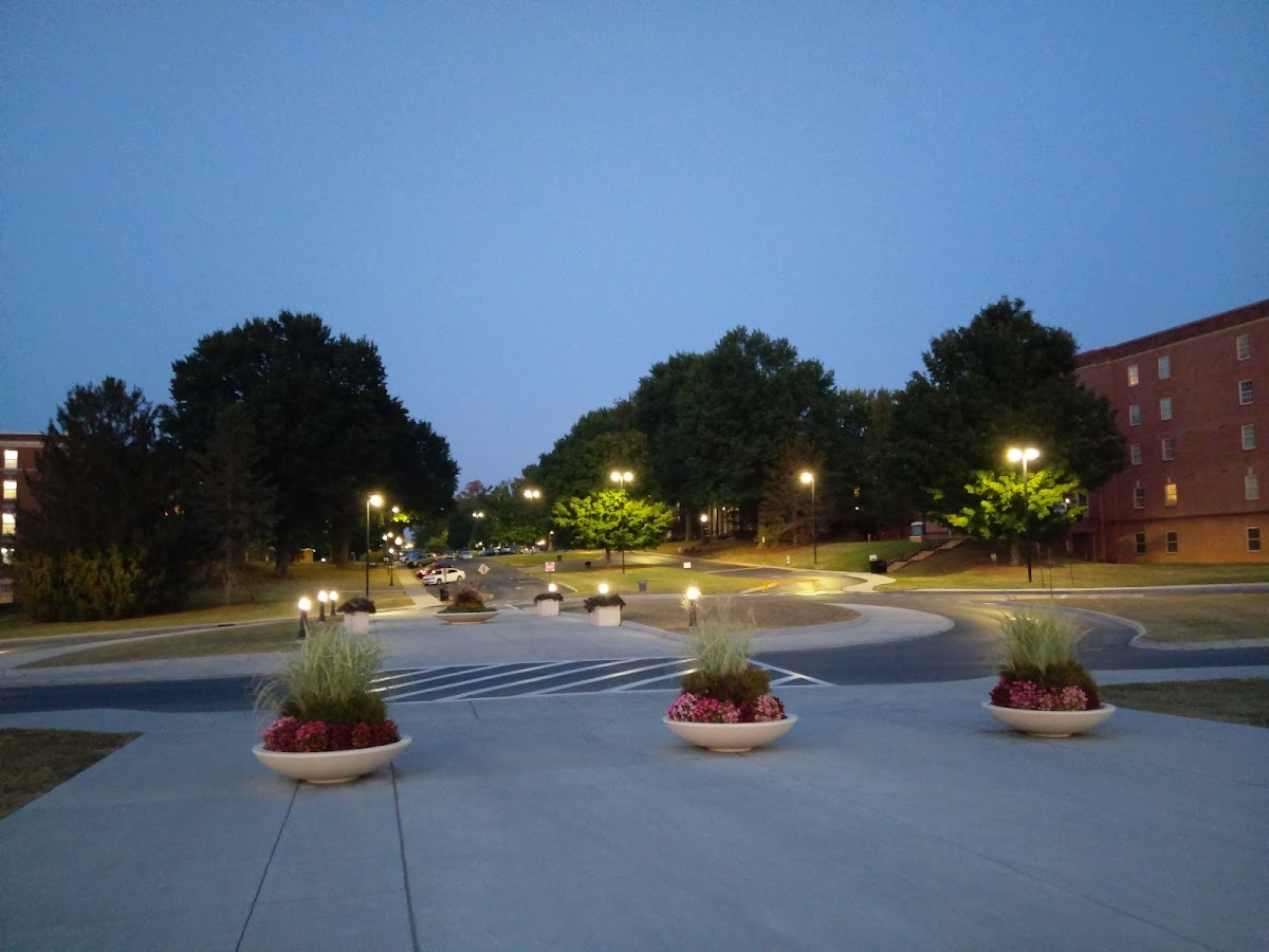 East Tennessee State University photo 5