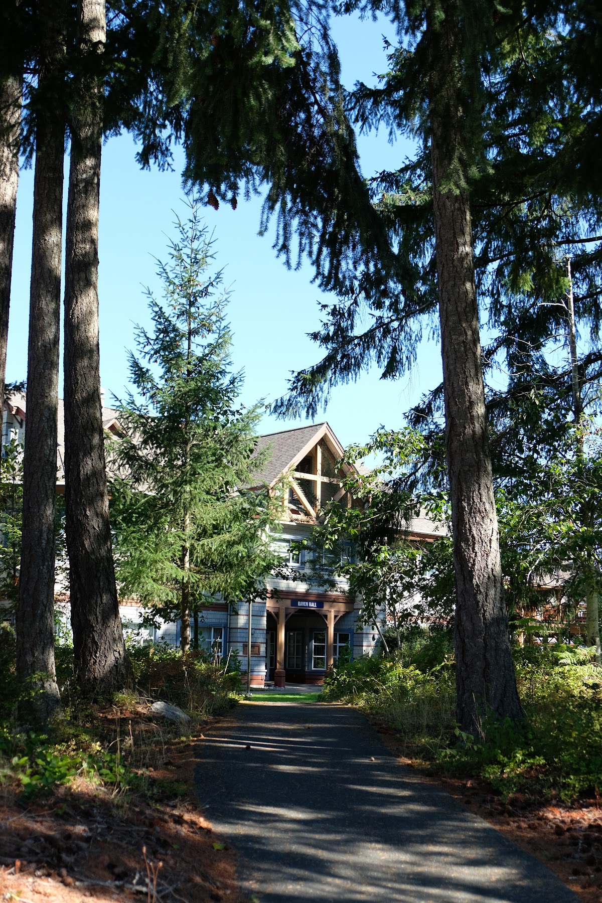 North Island College photo 8