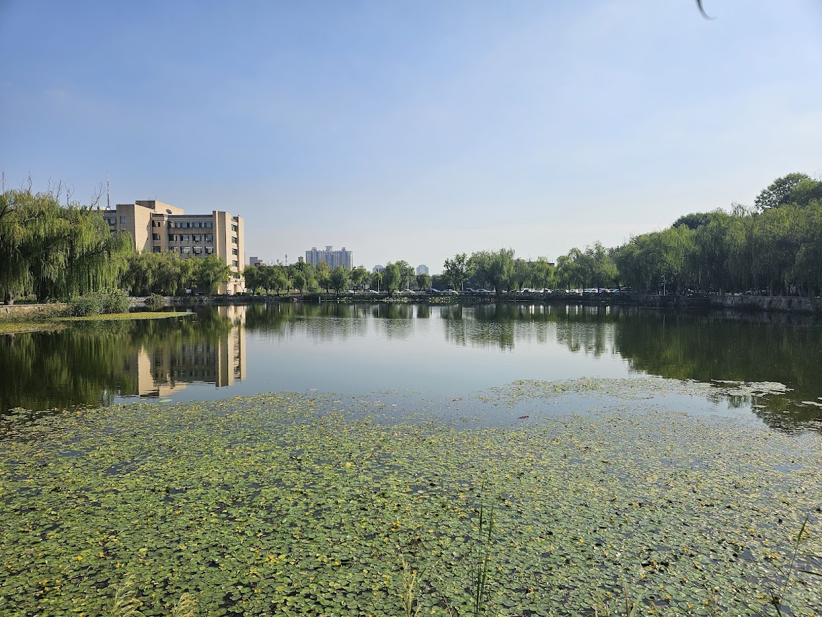 Tianjin University photo 5