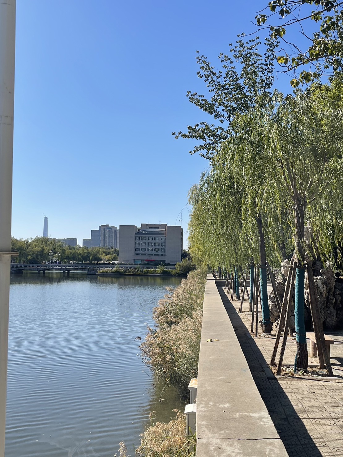 Tianjin University photo 8