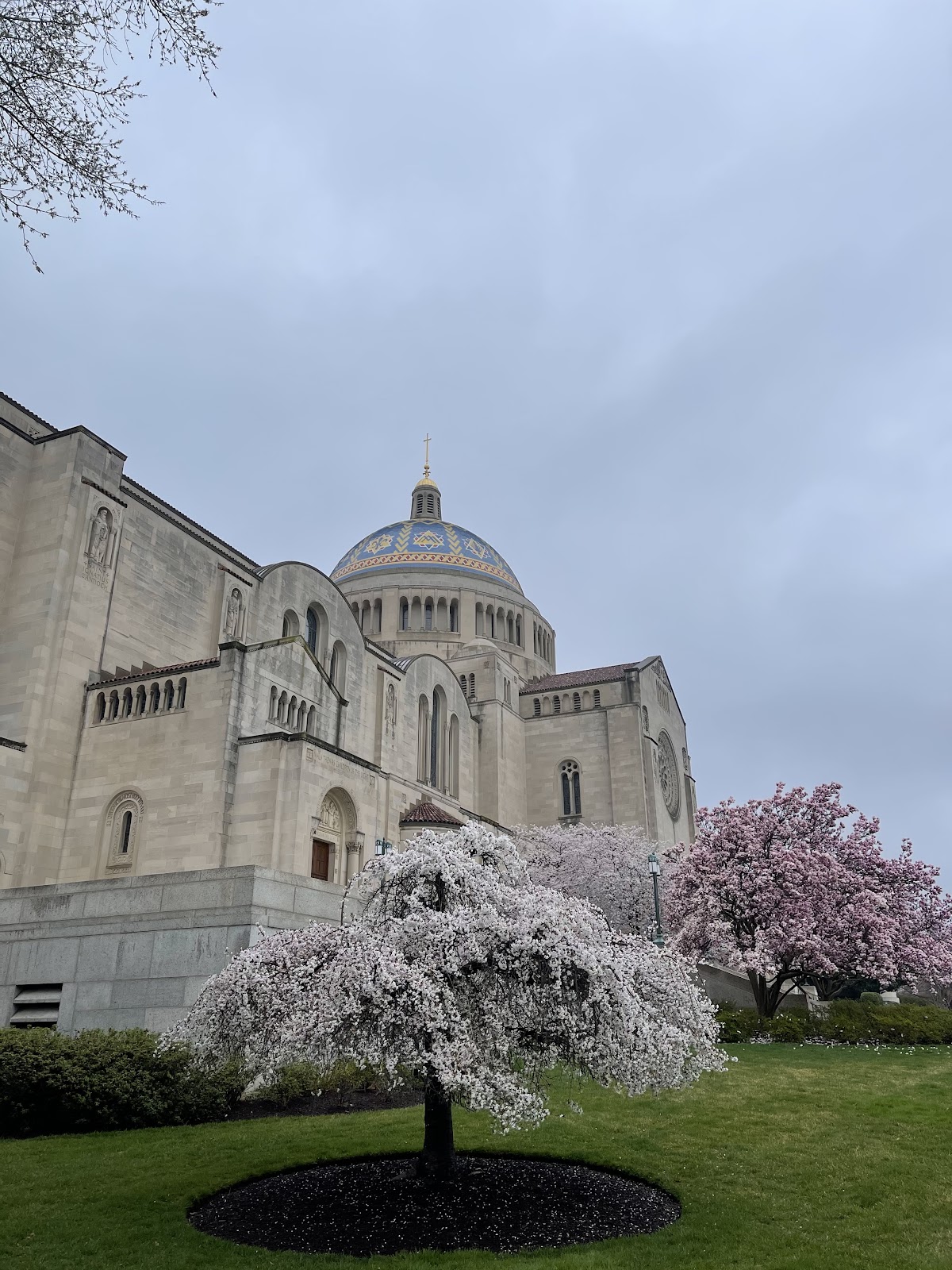 Catholic University of America photo 8