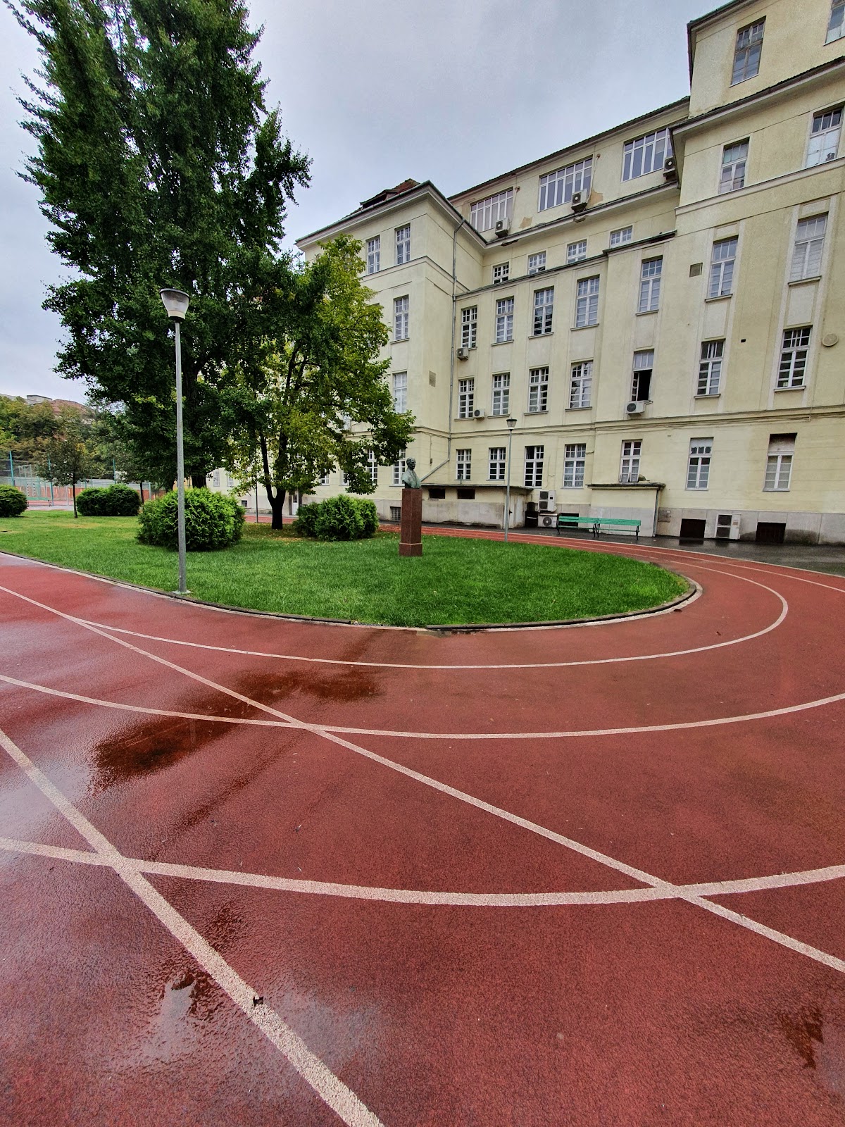 University of Medicine and Pharmacy Victor Babes Timisoara photo 3