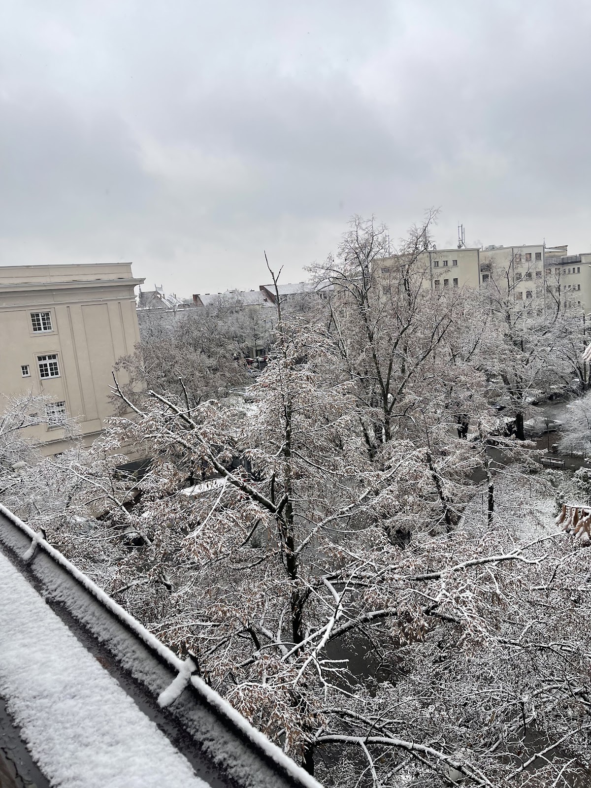University of Medicine and Pharmacy Victor Babes Timisoara photo 6