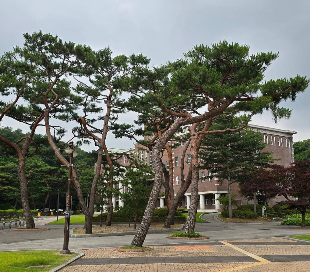 Sahmyook University photo 8