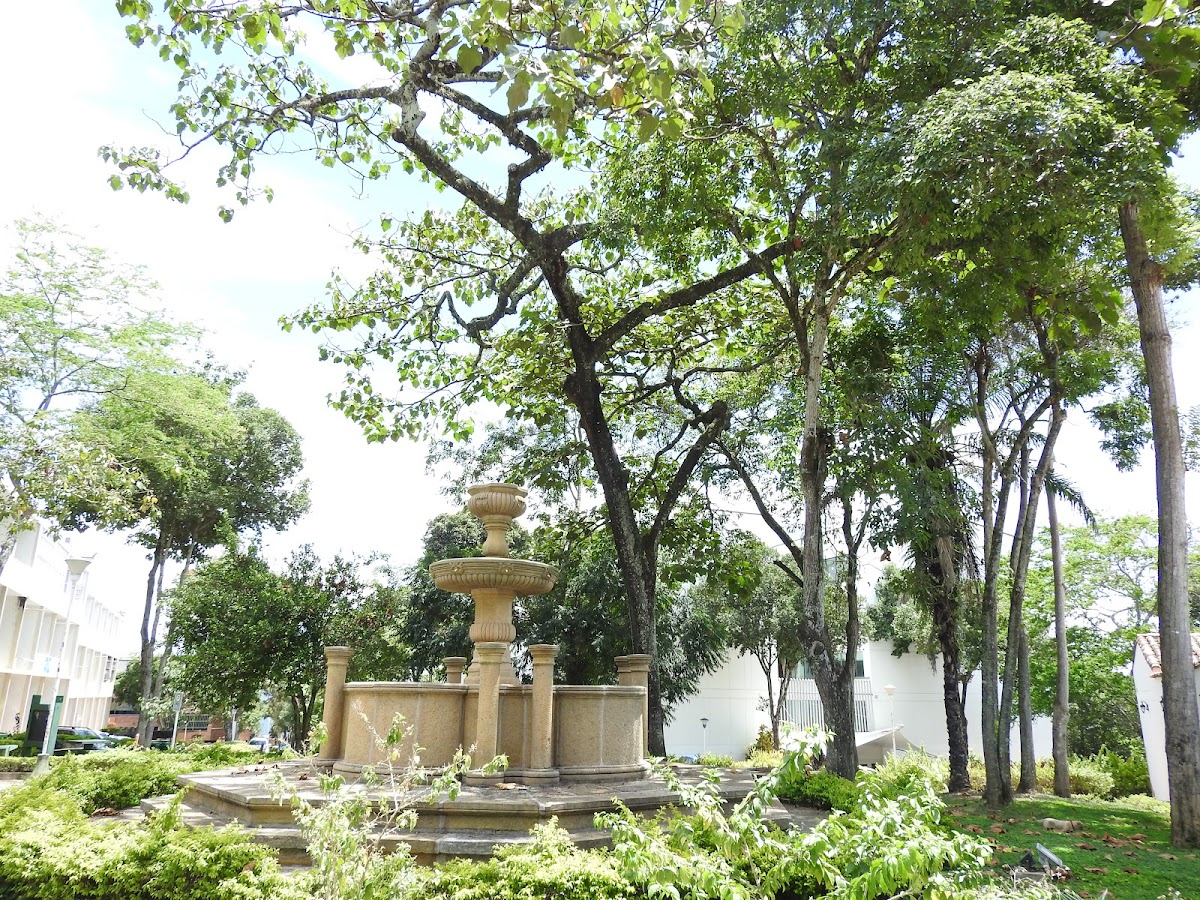 Universidad Industrial de Santander photo 7