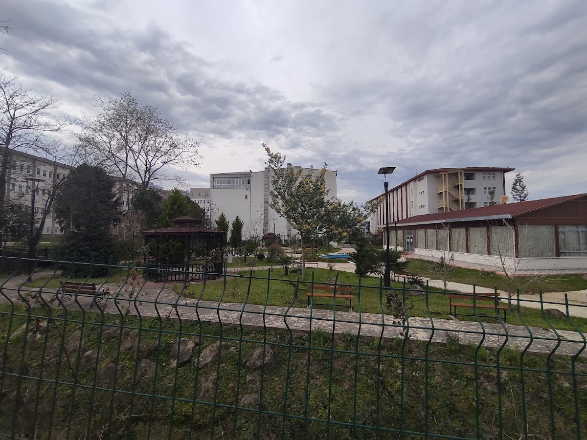 Giresun University photo 6